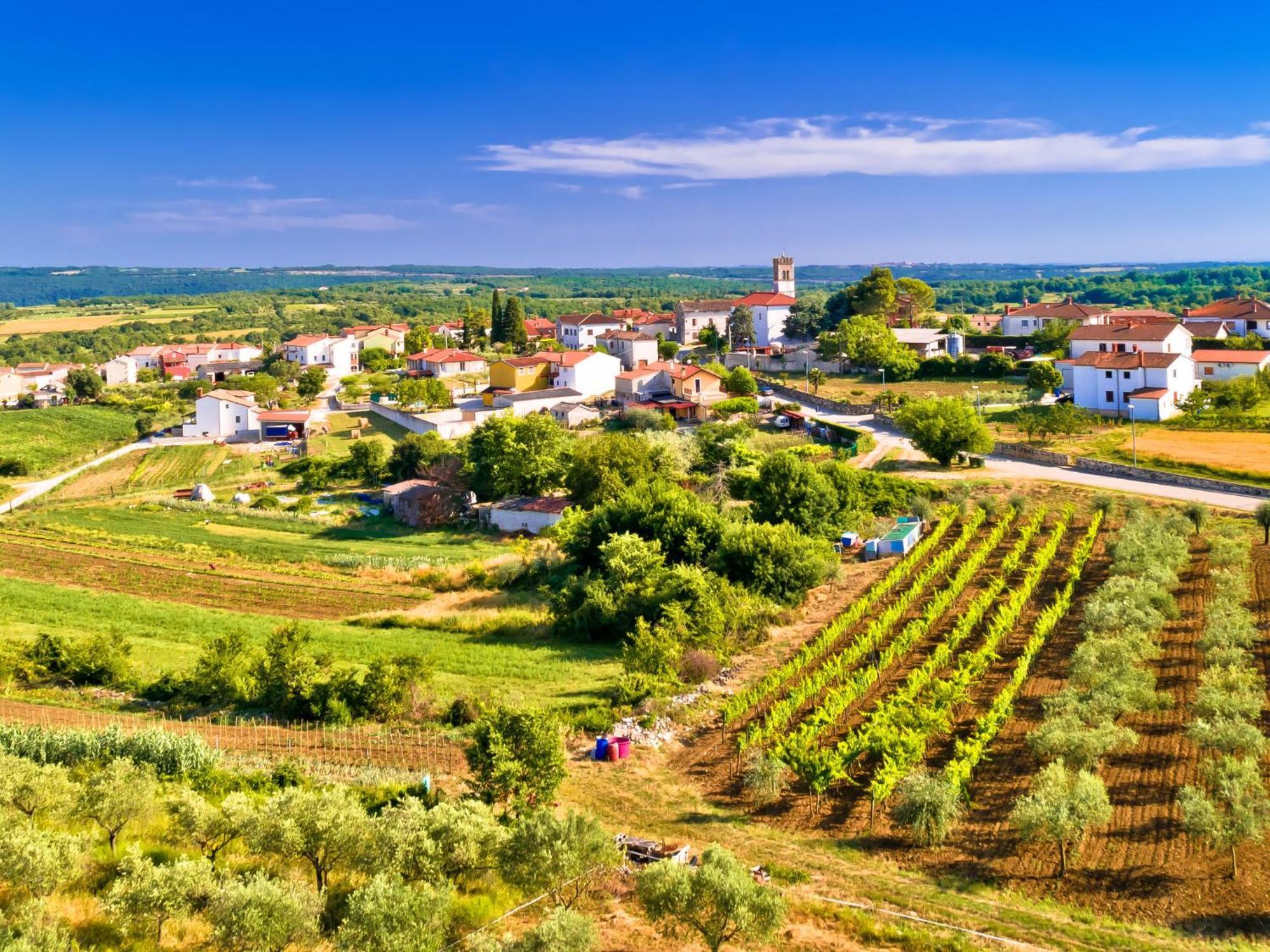 Holiday Home Villa Lucky Brtonigla Esterno foto